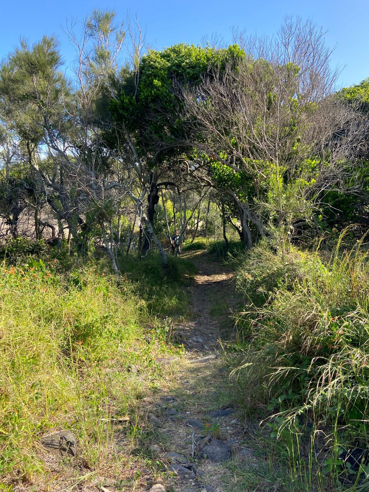 Sandee Mon Repos