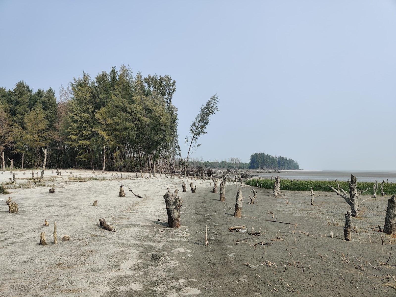 Sandee Sonar Char Sea Beach