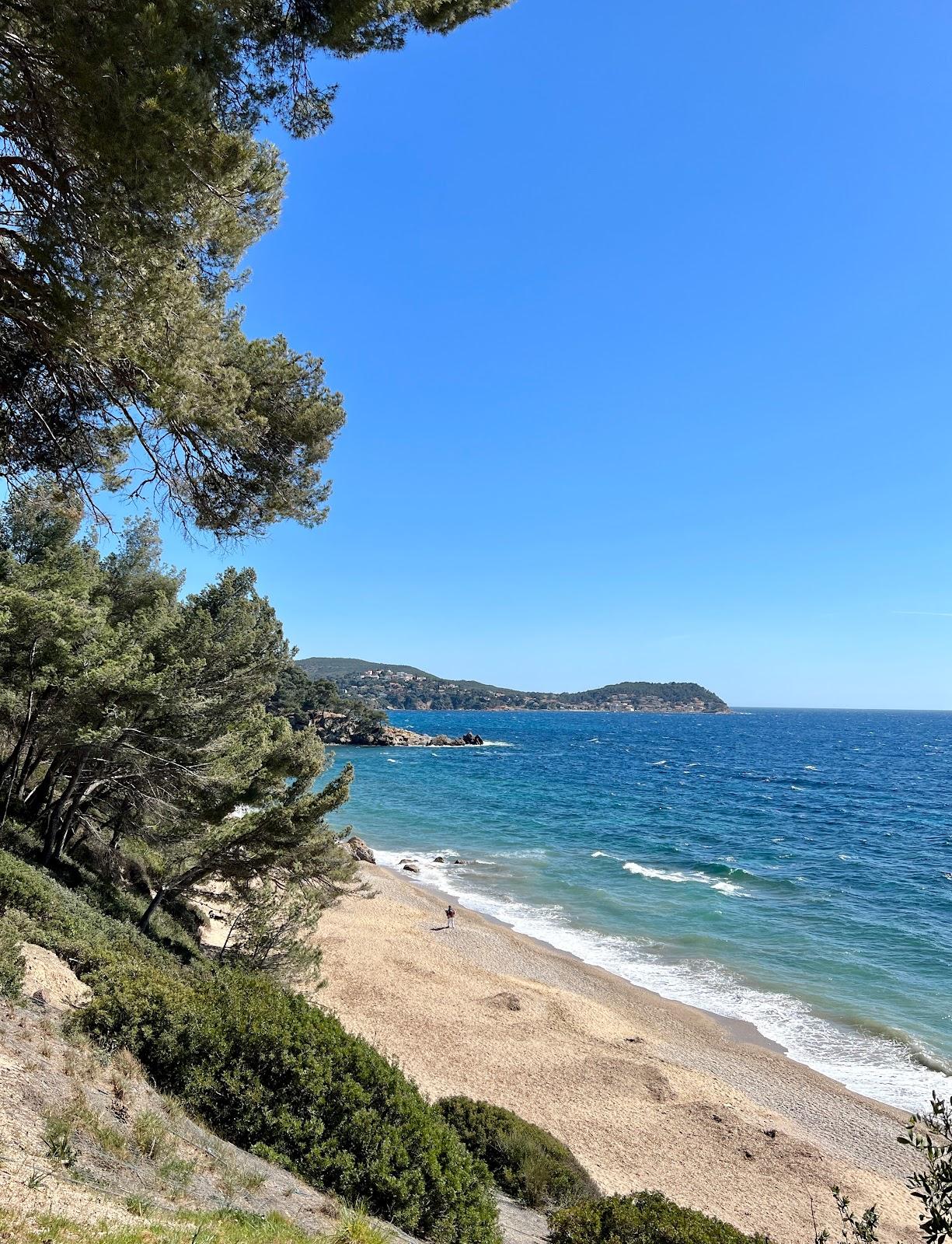 Sandee Plage Du Pradet