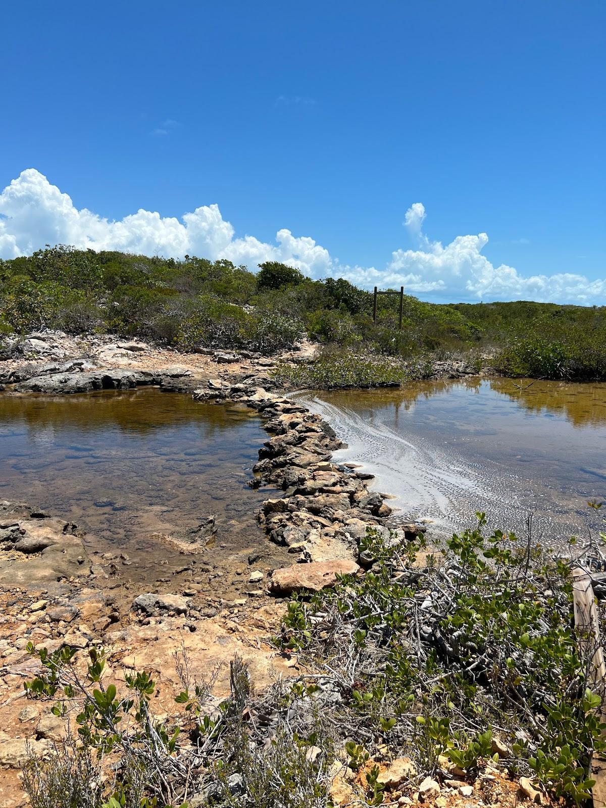 Sandee Bird Rock Trail