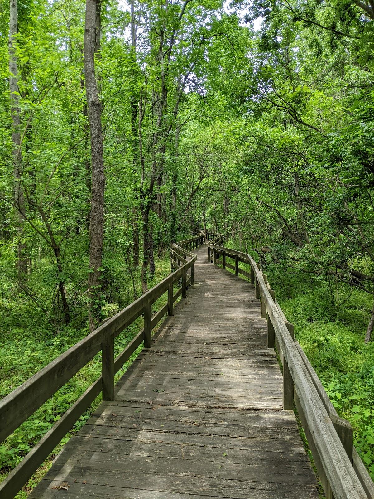 Sandee Cape Charles Natural Area Preserve