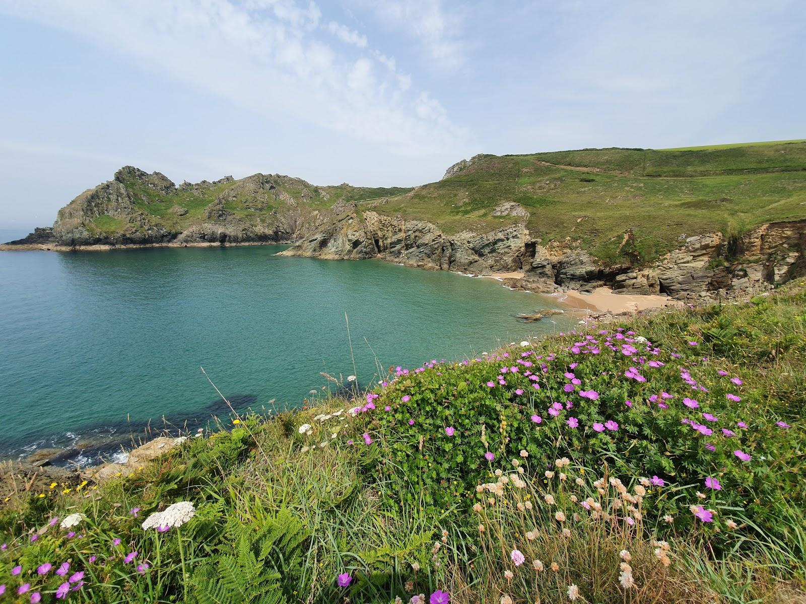 Sandee Elender Cove Beach