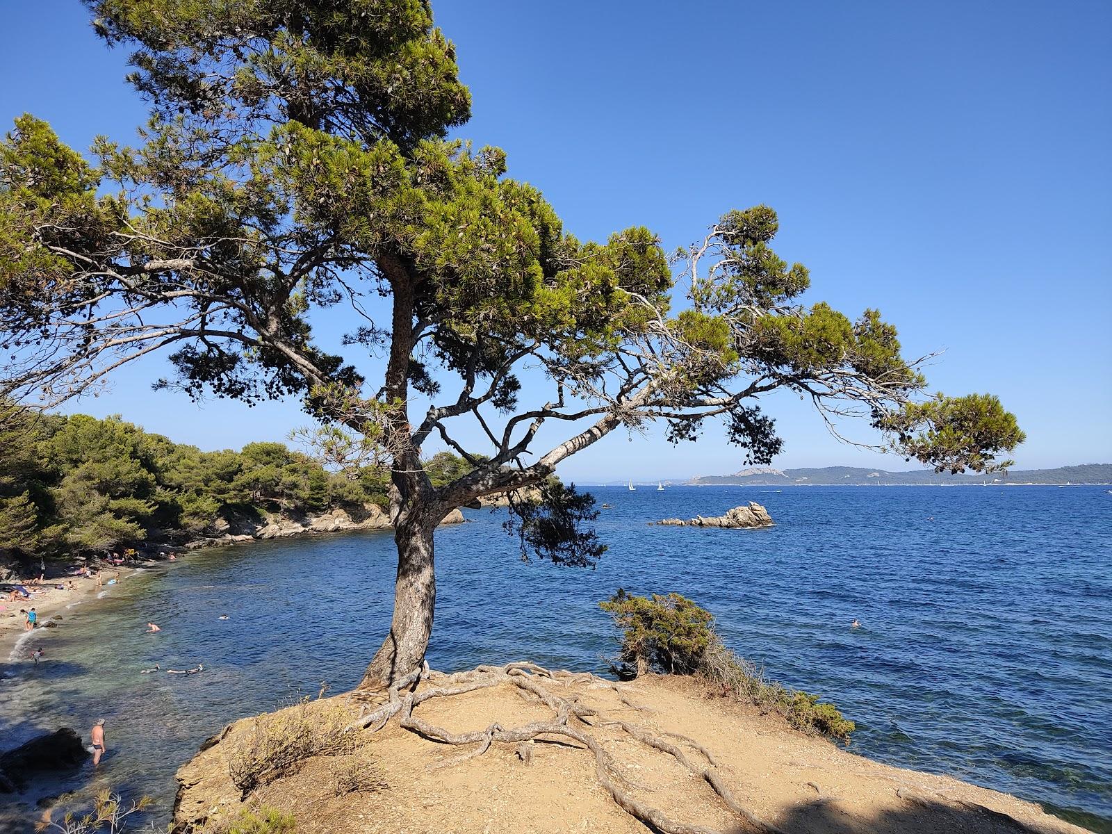 Sandee Beach Des Cypres