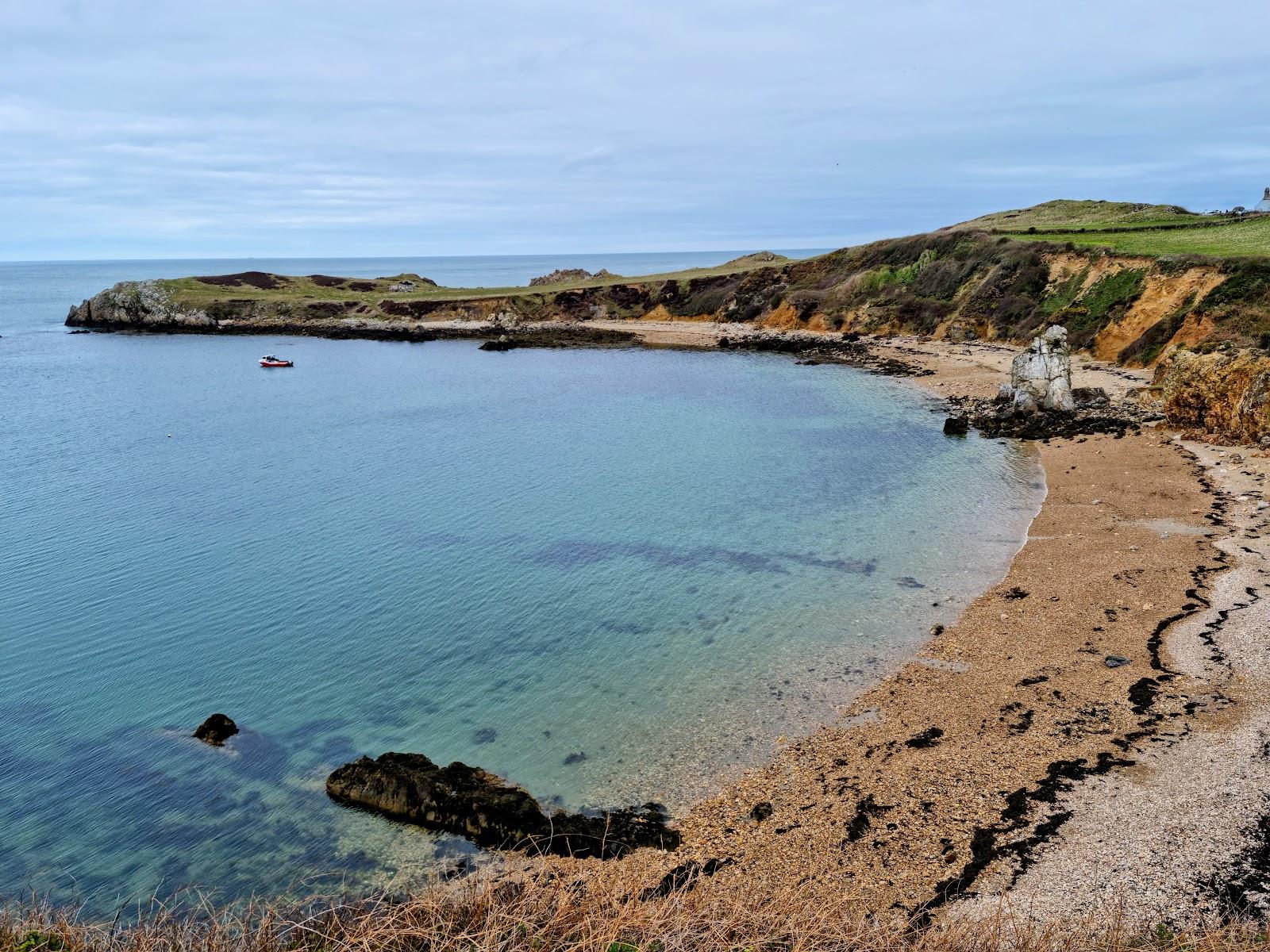 Sandee Porth Padrig Beach