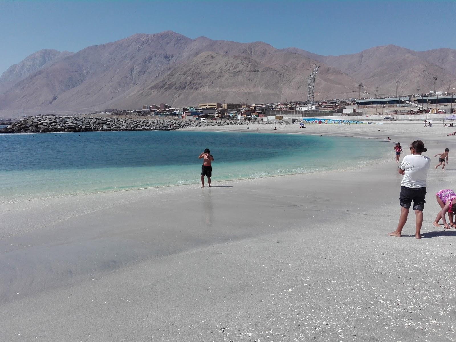 Sandee - HomePage / Tocopilla