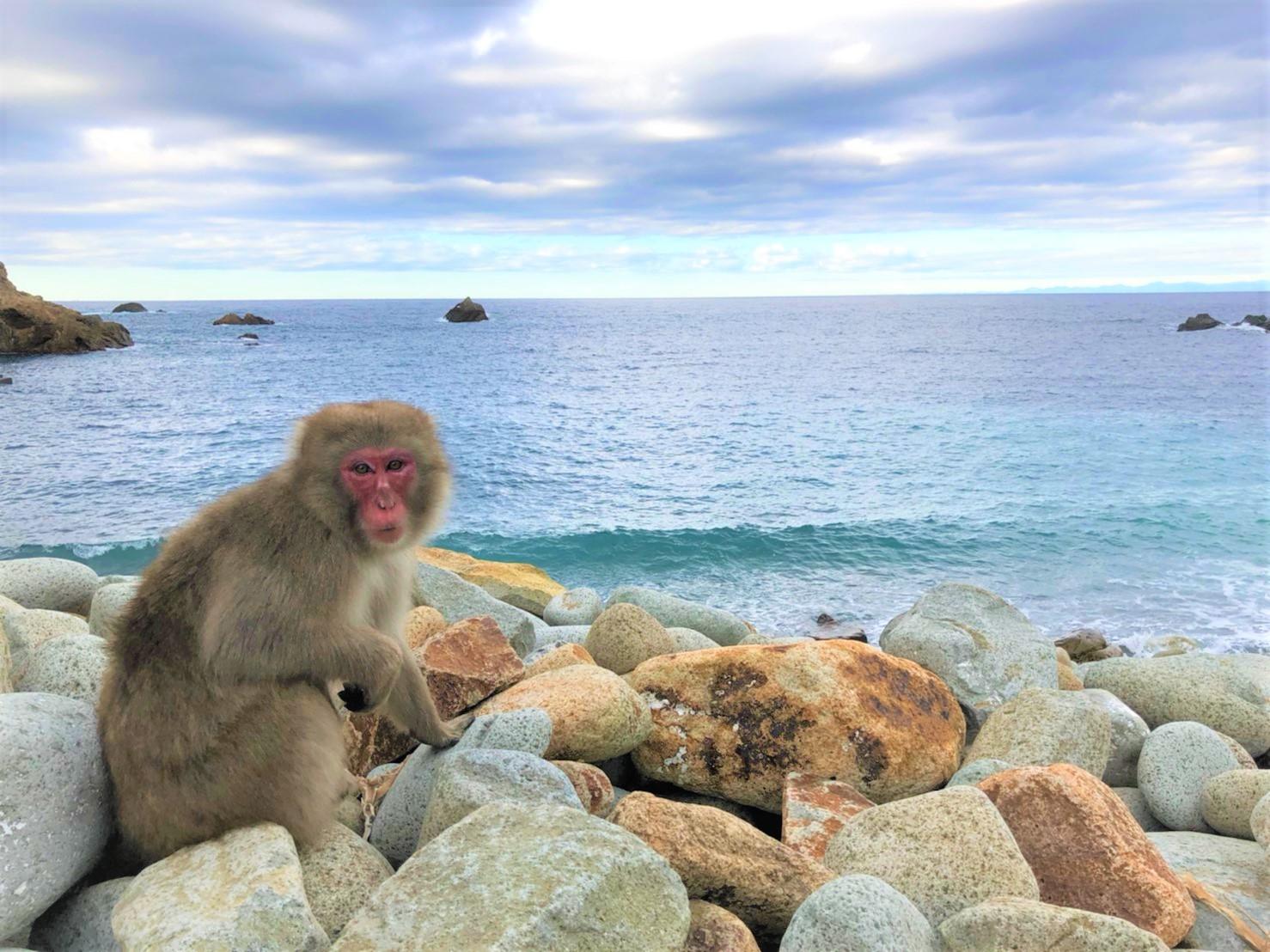 Sandee Hagachizaki Monkey Bay