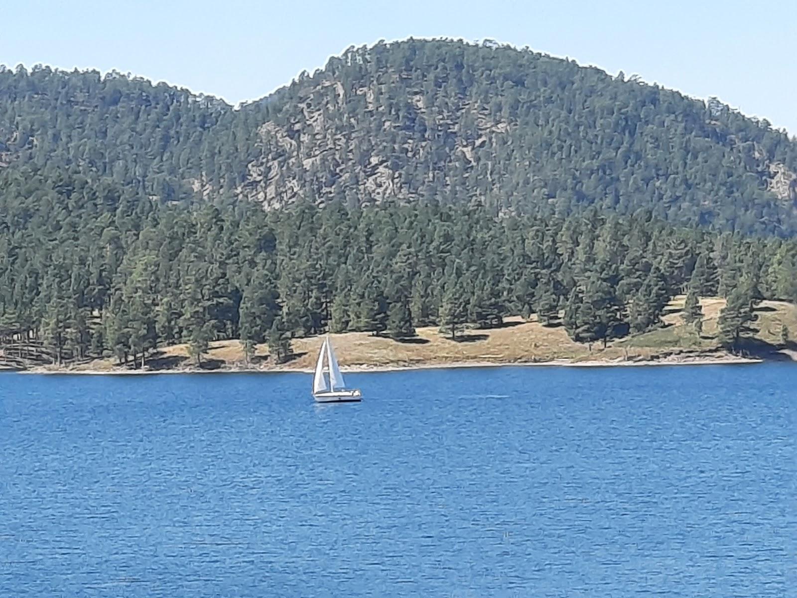 Sandee Sheridan Lake