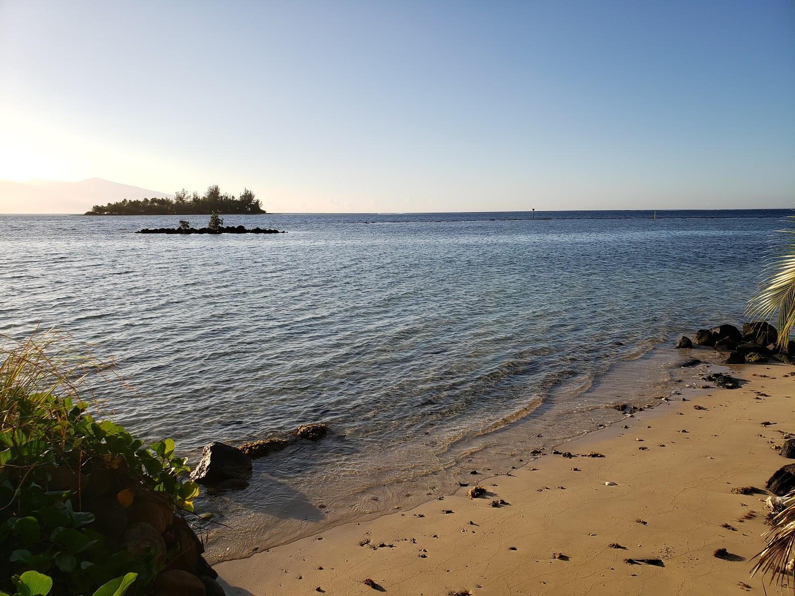 Sandee - HomePage / Afareaitu