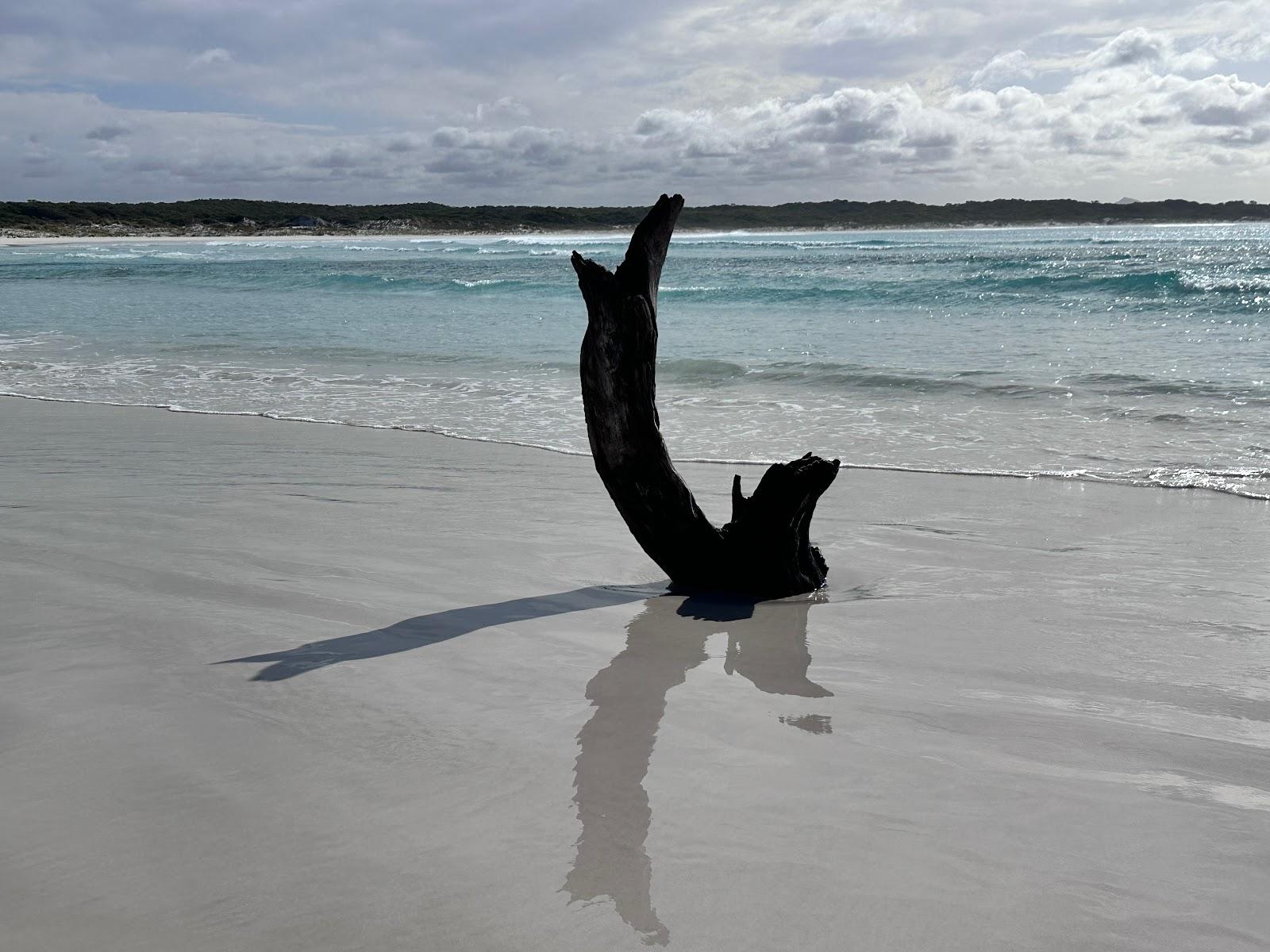 Sandee John Cove