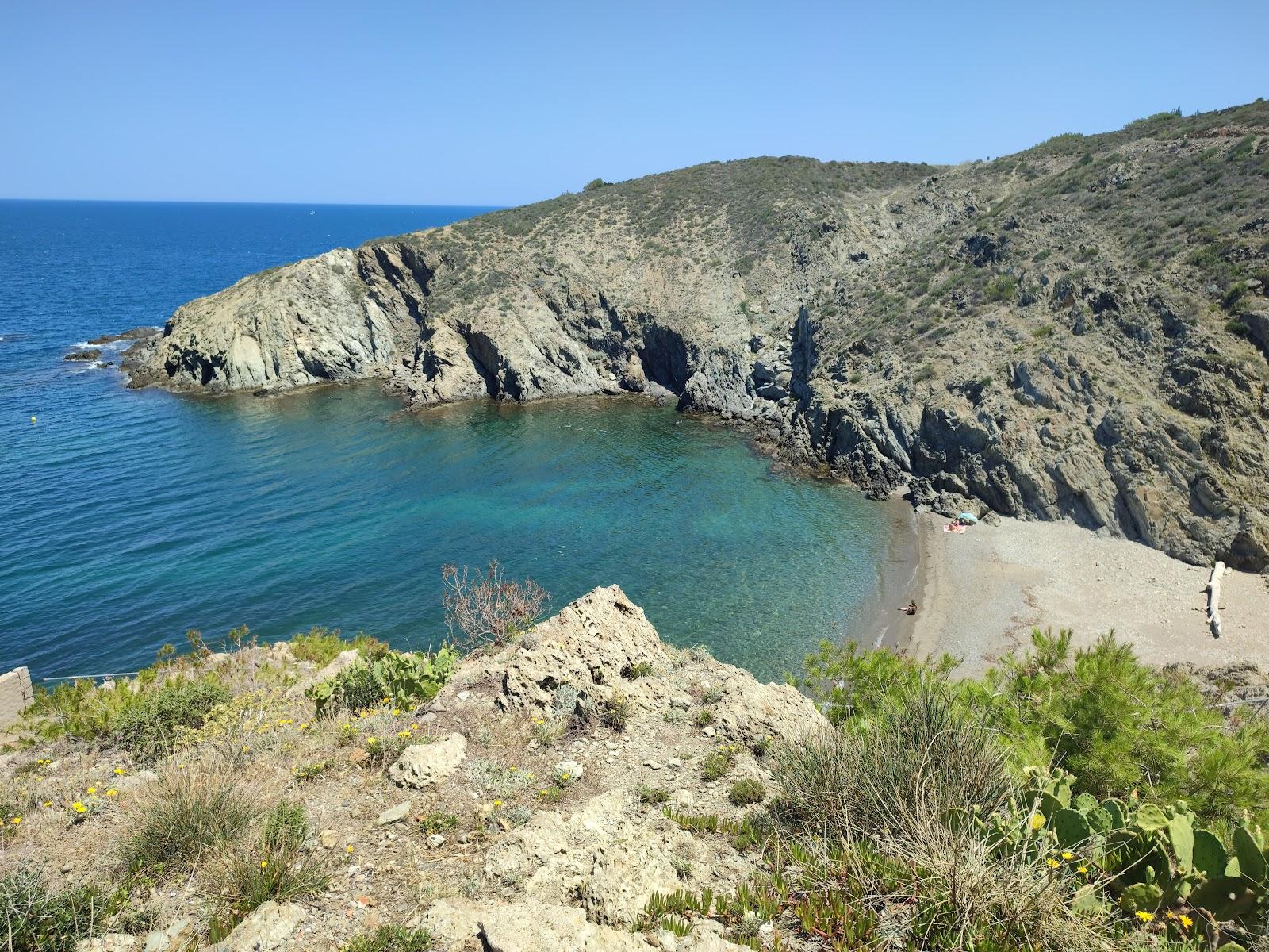Sandee Platja Del Troc
