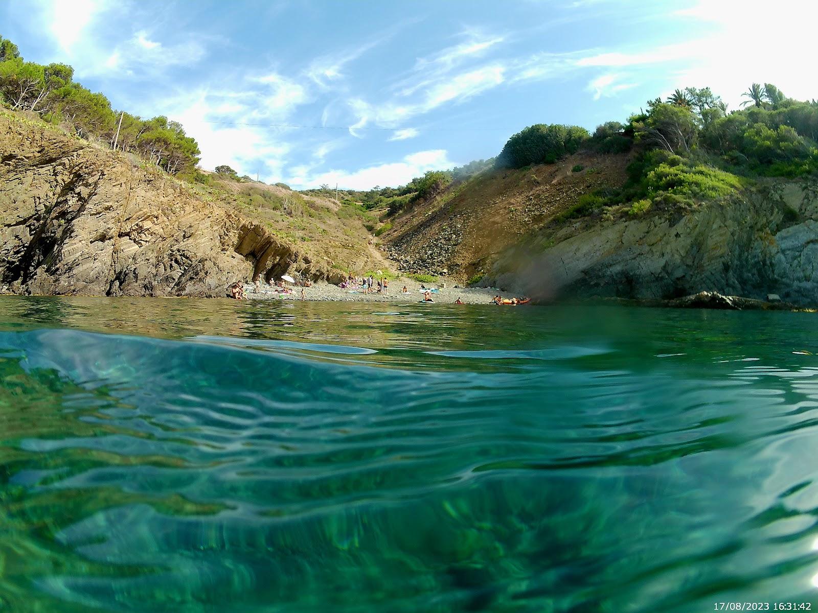 Sandee Plage D'El Canu