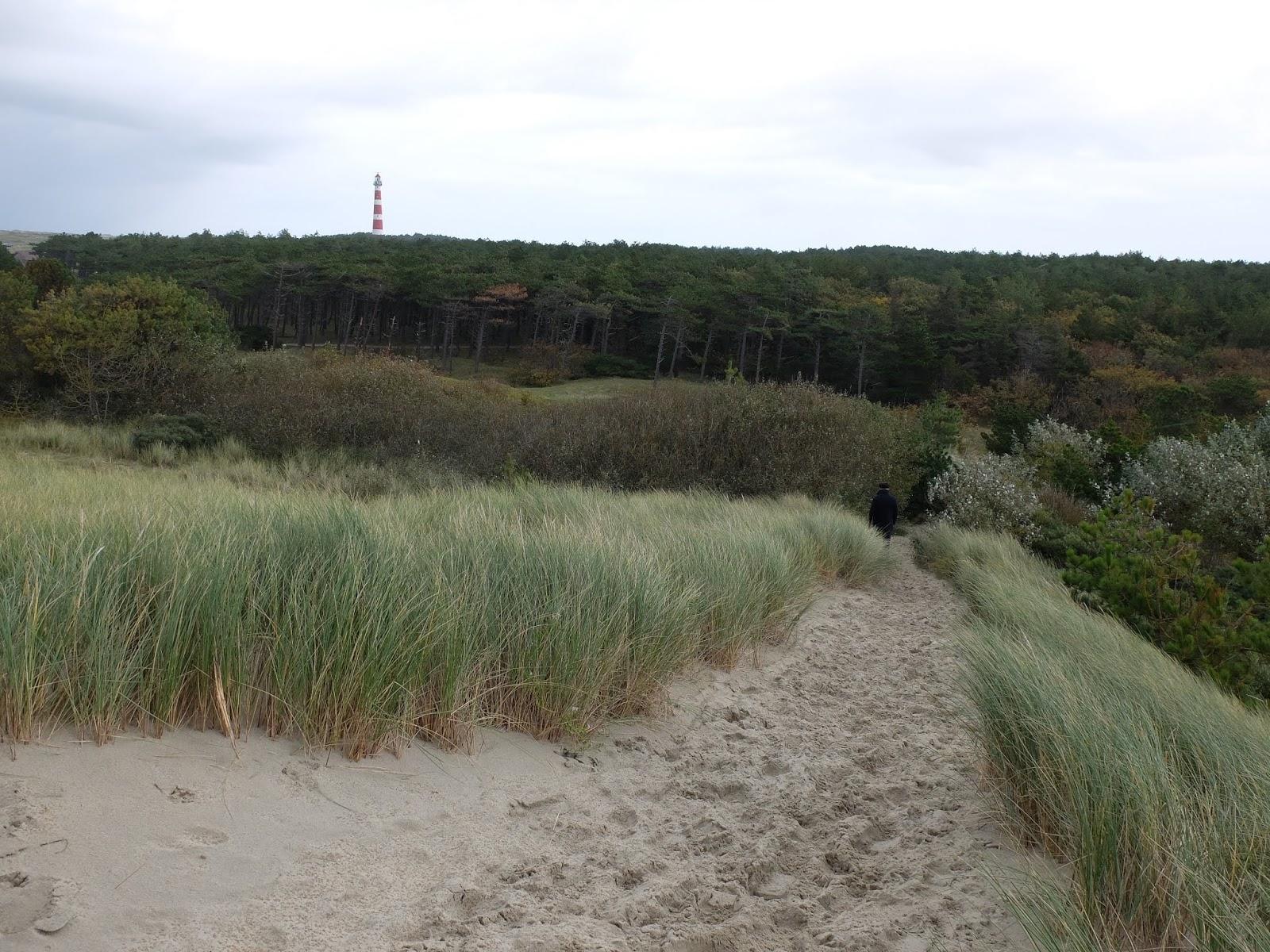 Sandee Hollumerduinen
