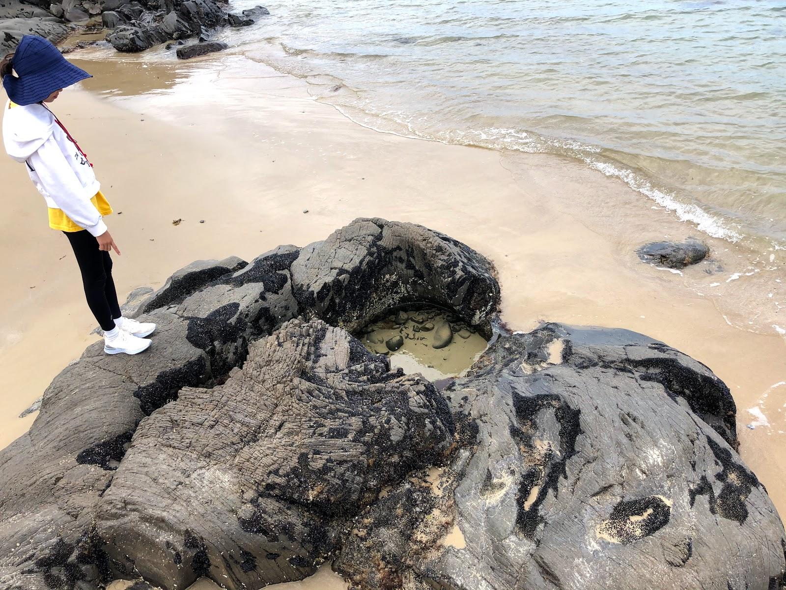 Sandee Schouten House Beach