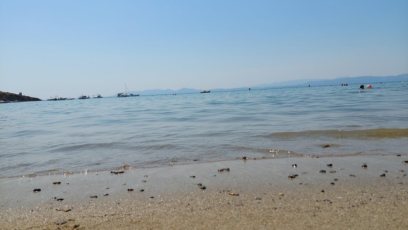 Sandee Paradise Beach