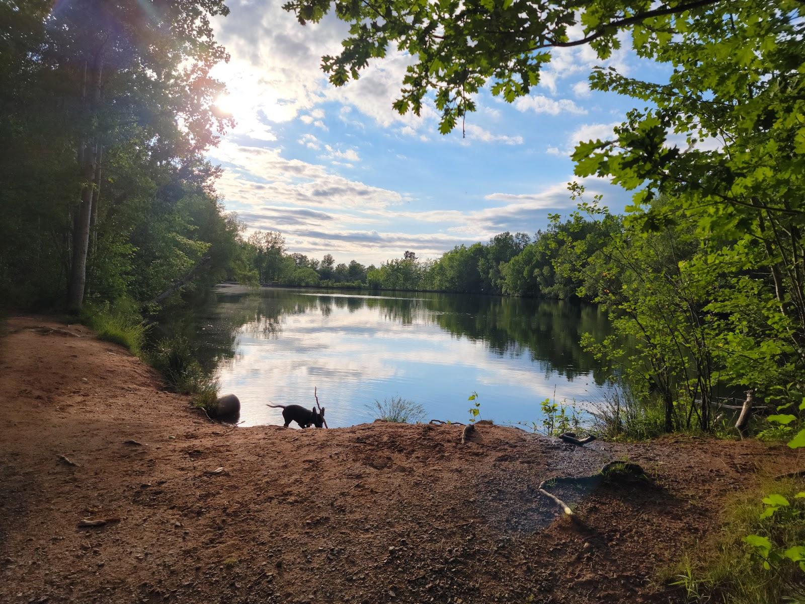 Sandee - HomePage / Wolfville