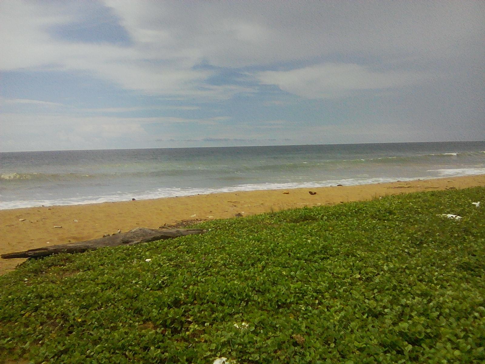 Sandee Pinwatte Beach