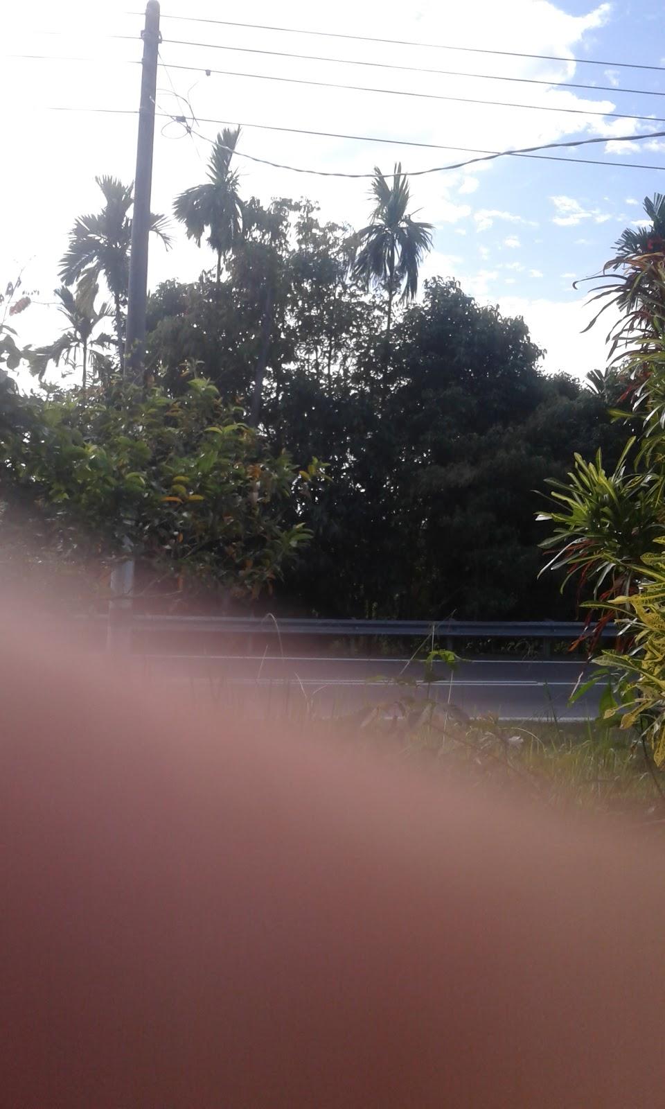 Sandee Sungai Mengkuang