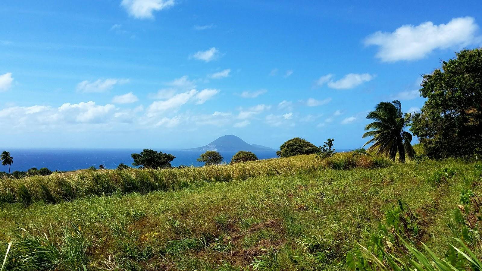 Sandee Manchineel Bay
