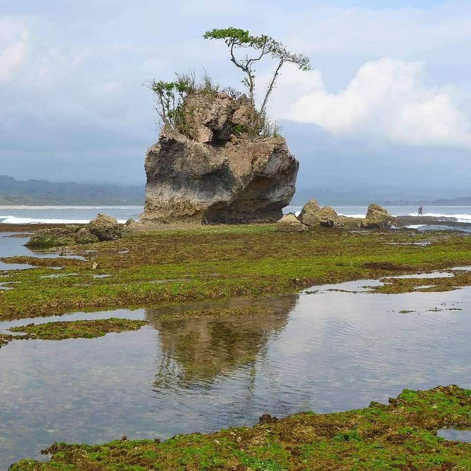 Sandee Way Hawang Beach