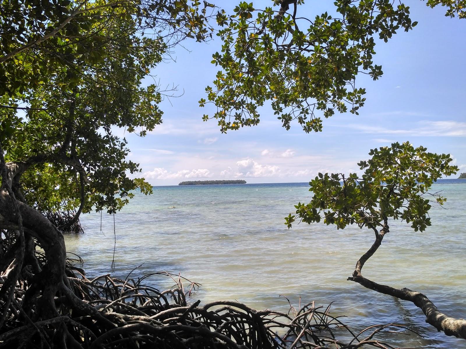 Sandee Pantai Ujung Alawa