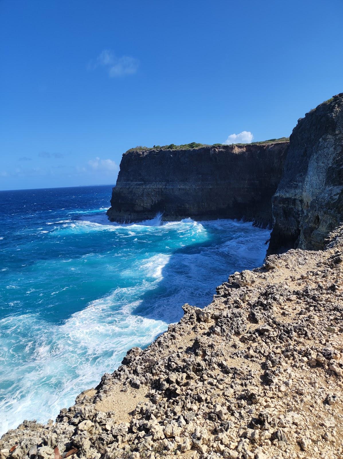 Sandee Pointe Petit Negre