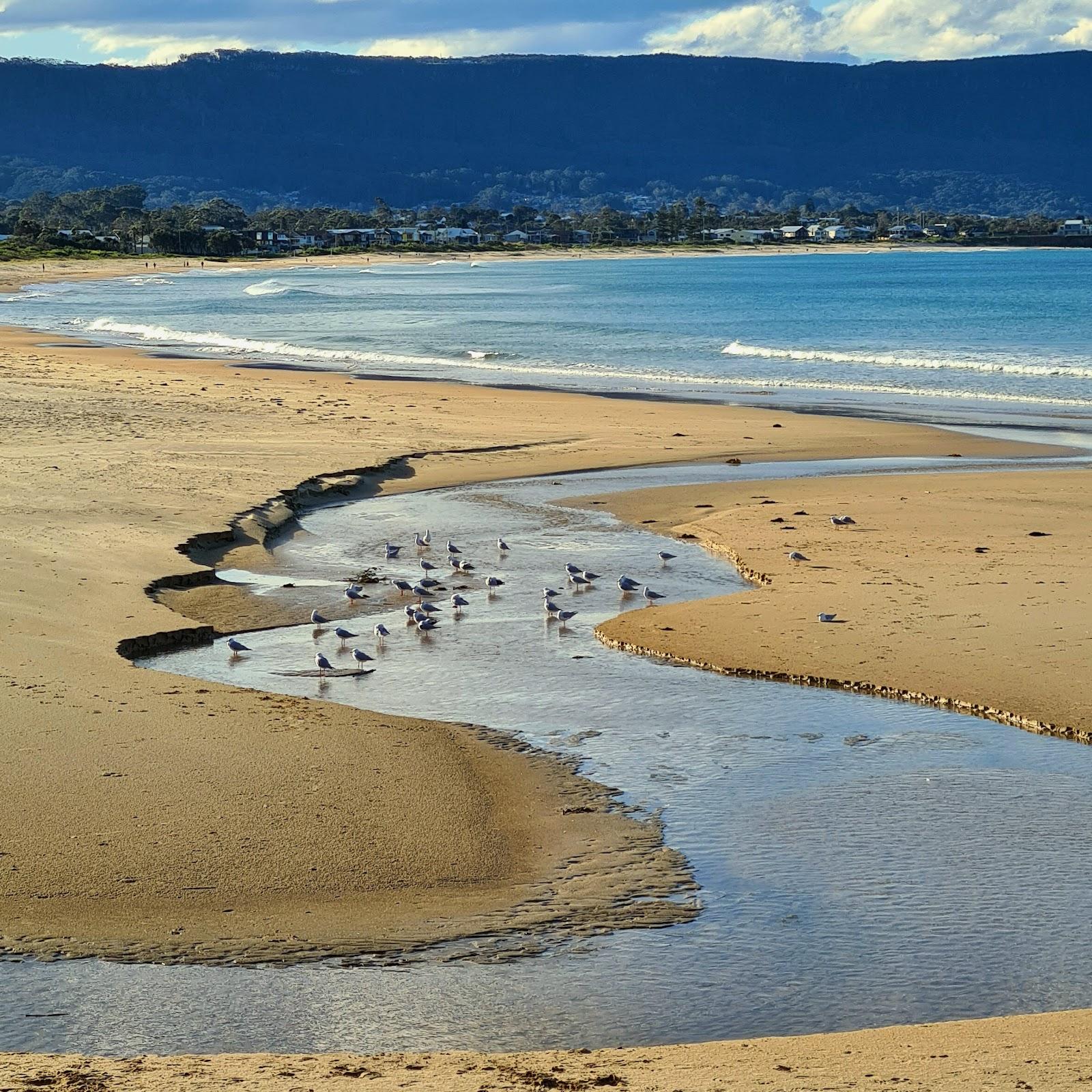 Sandee Bellambi Beach