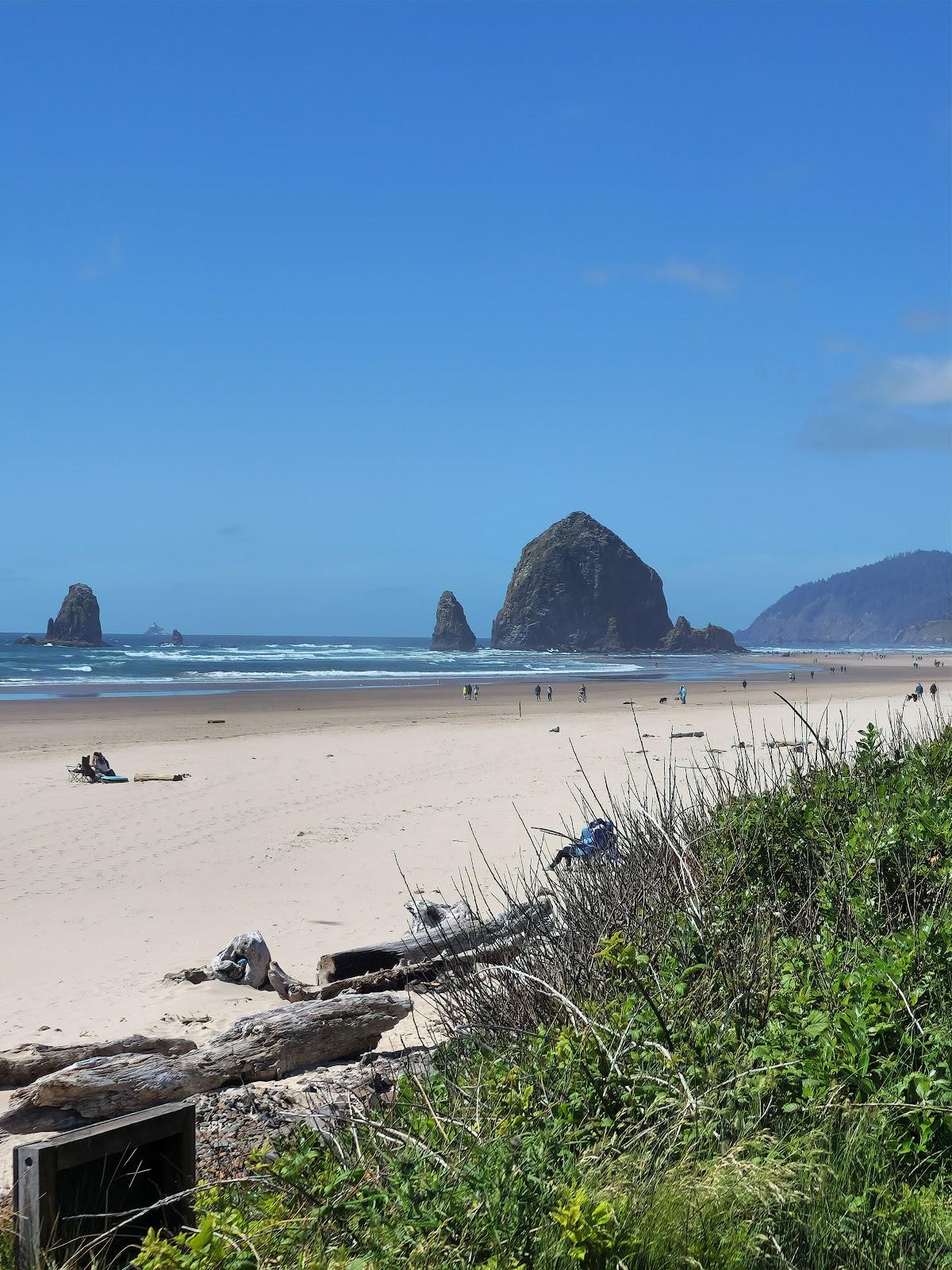 Sandee Tolovana State Park Beach
