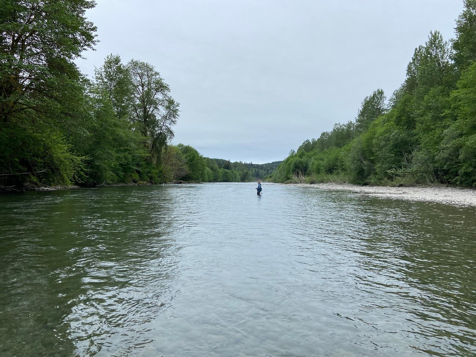 Sandee Bogachiel State Park