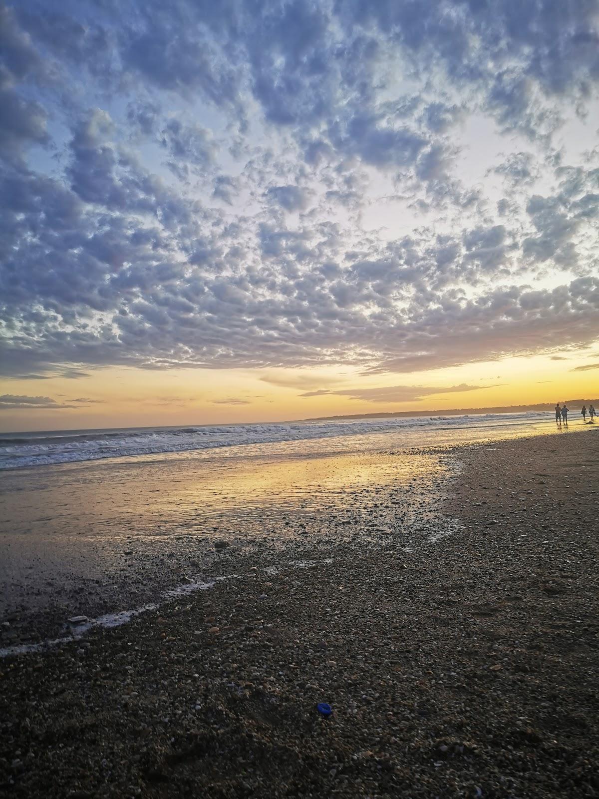 Sandee Beach Palooza Beach, Alfar; Mdq