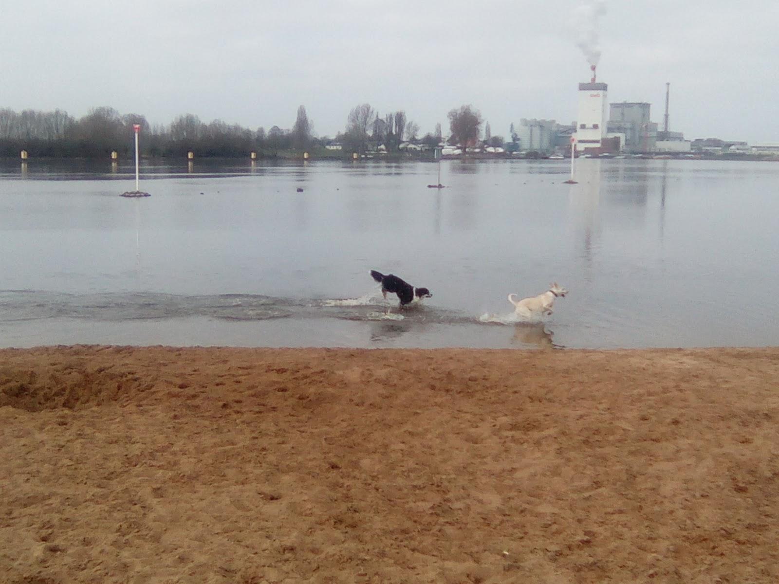 Sandee Naturstrand Hemelingen