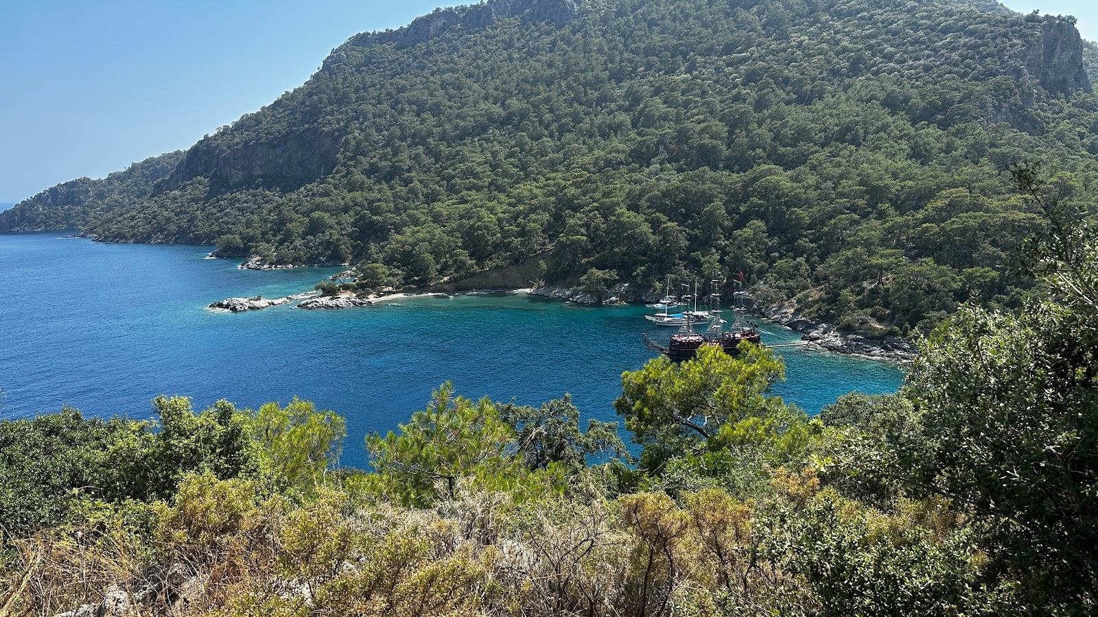 Sandee Darbogaz Fathiye