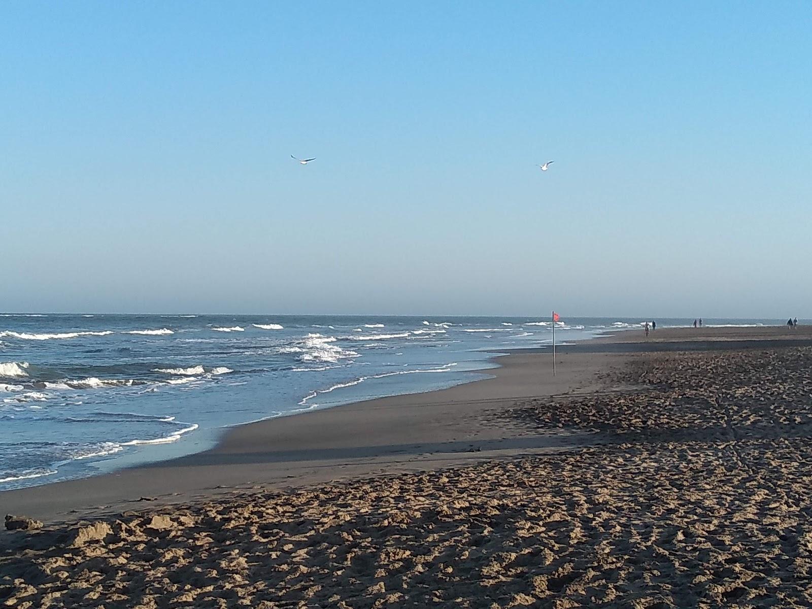 Sandee Playa Sur