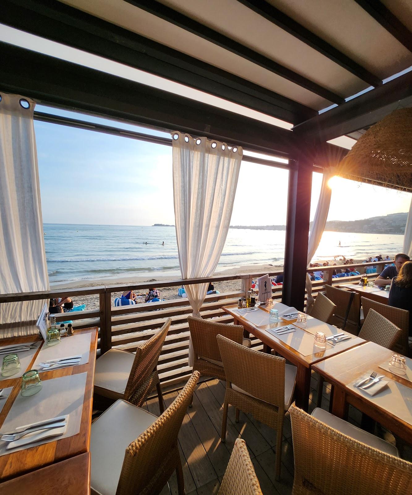 Sandee Plage Doree