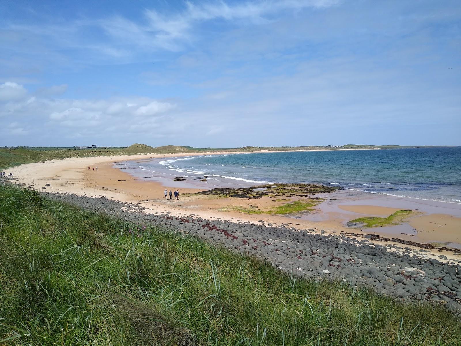 Sandee Newton Haven Beach