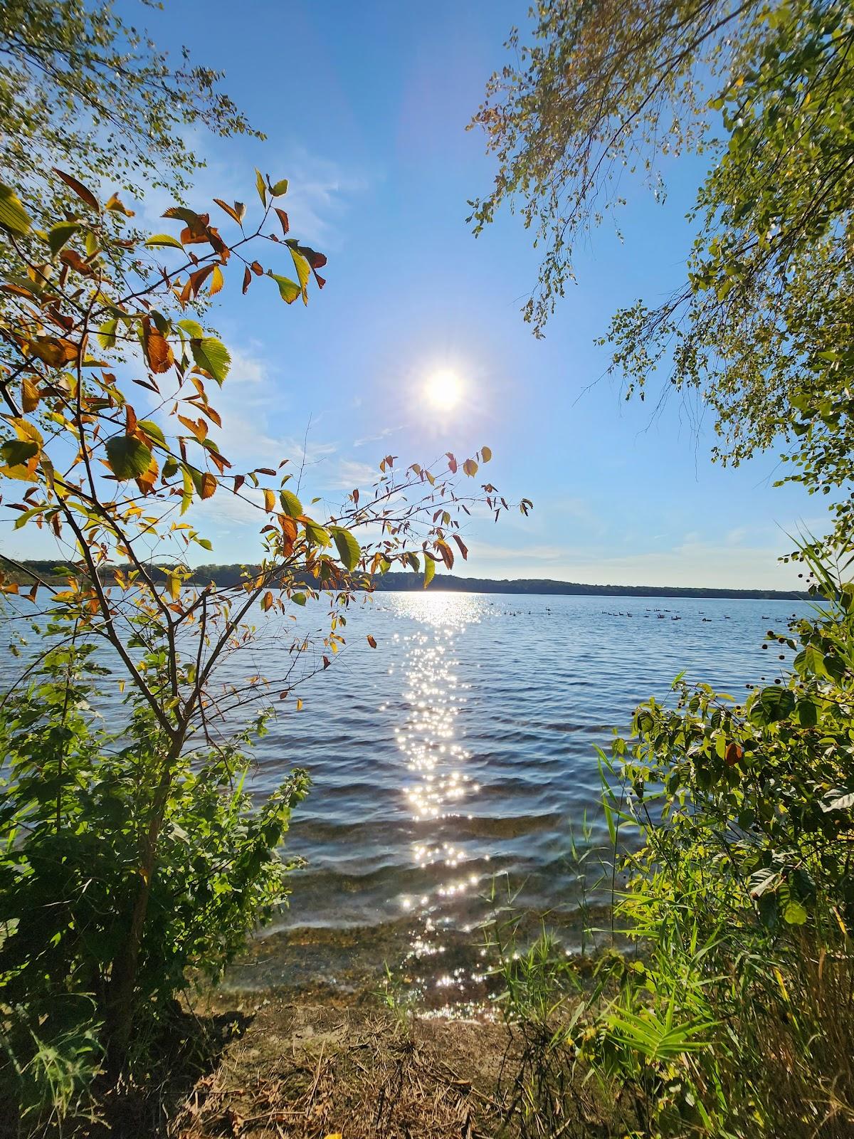 Sandee Union Lake Beach