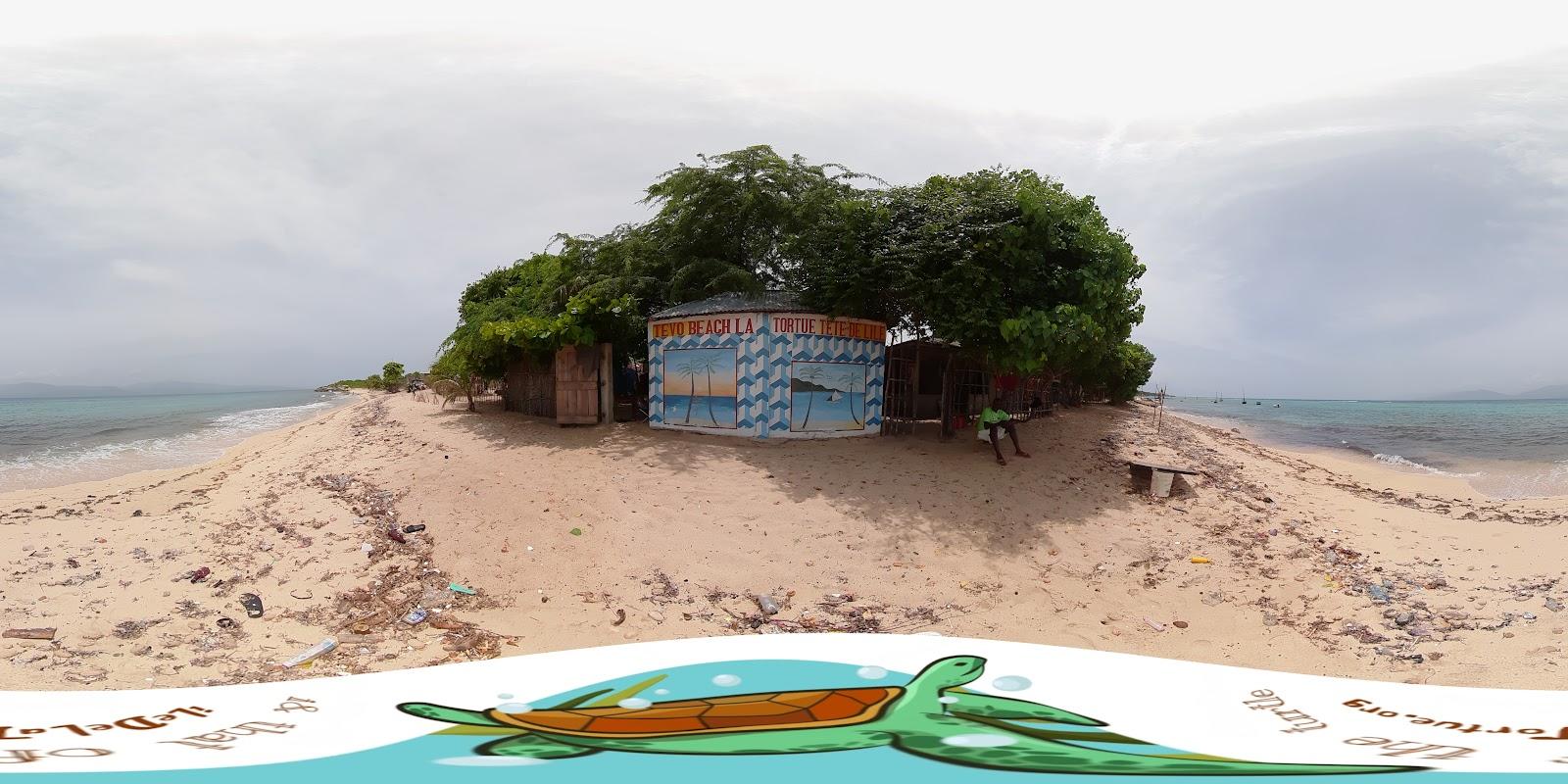 Sandee La Tortue Beach