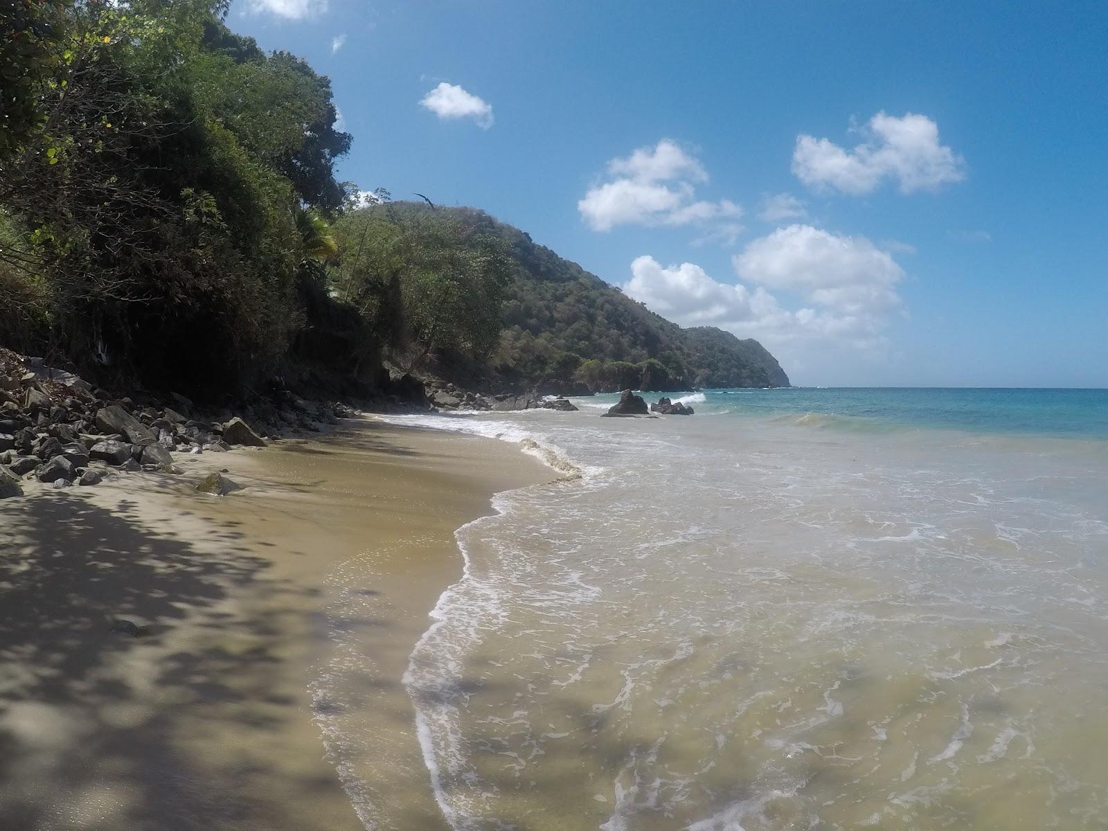 Sandee Englishman's Bay