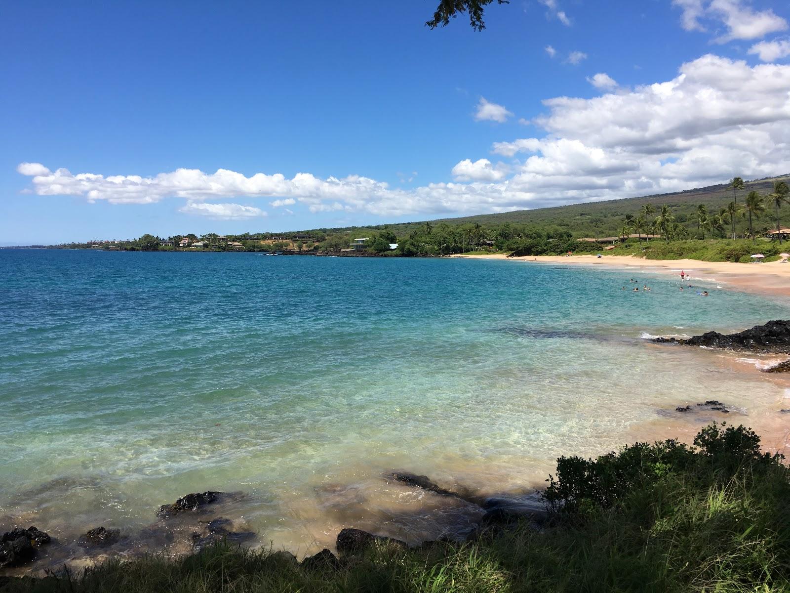 Sandee - HomePage / Ahihi Kinau Natural Area Reserve