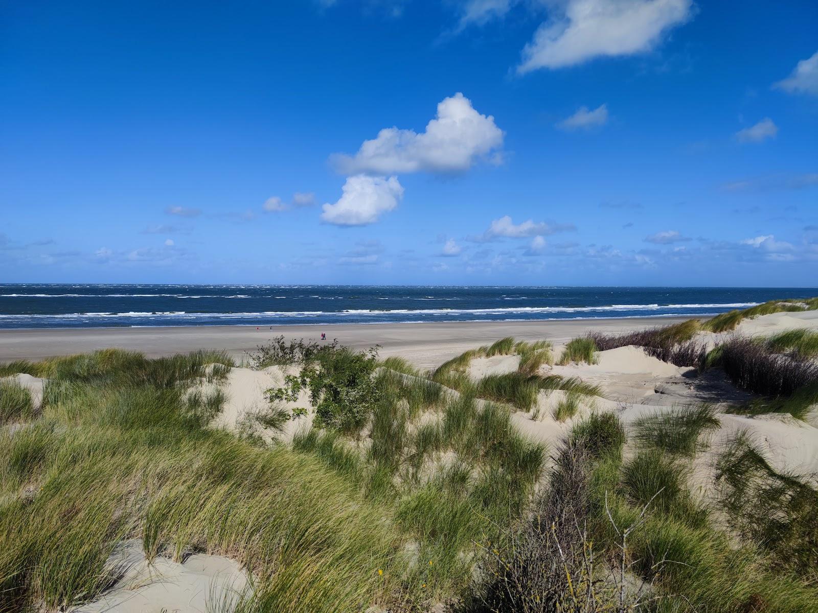 Sandee Nordstrand Ostland