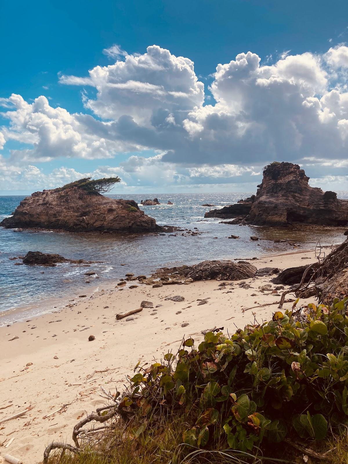 Sandee La Foret Beach/Forest Point