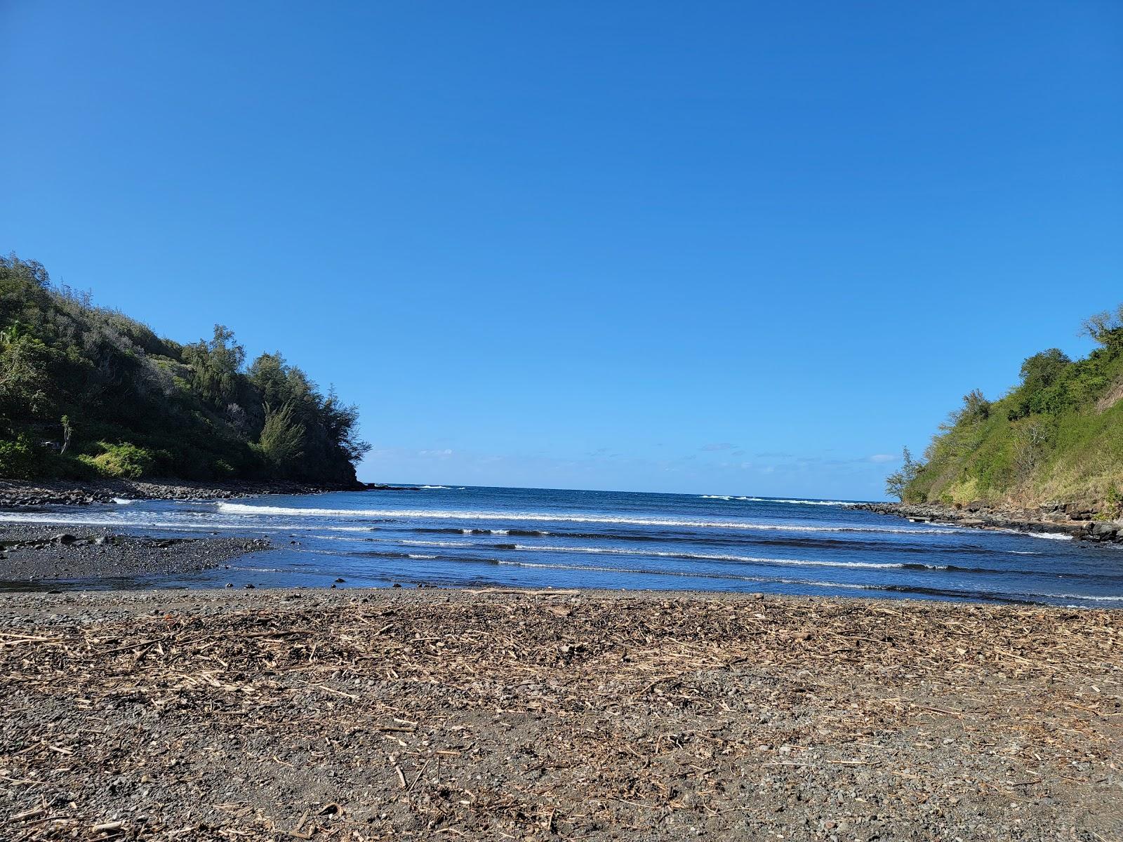 Sandee Maliko Bay Beach