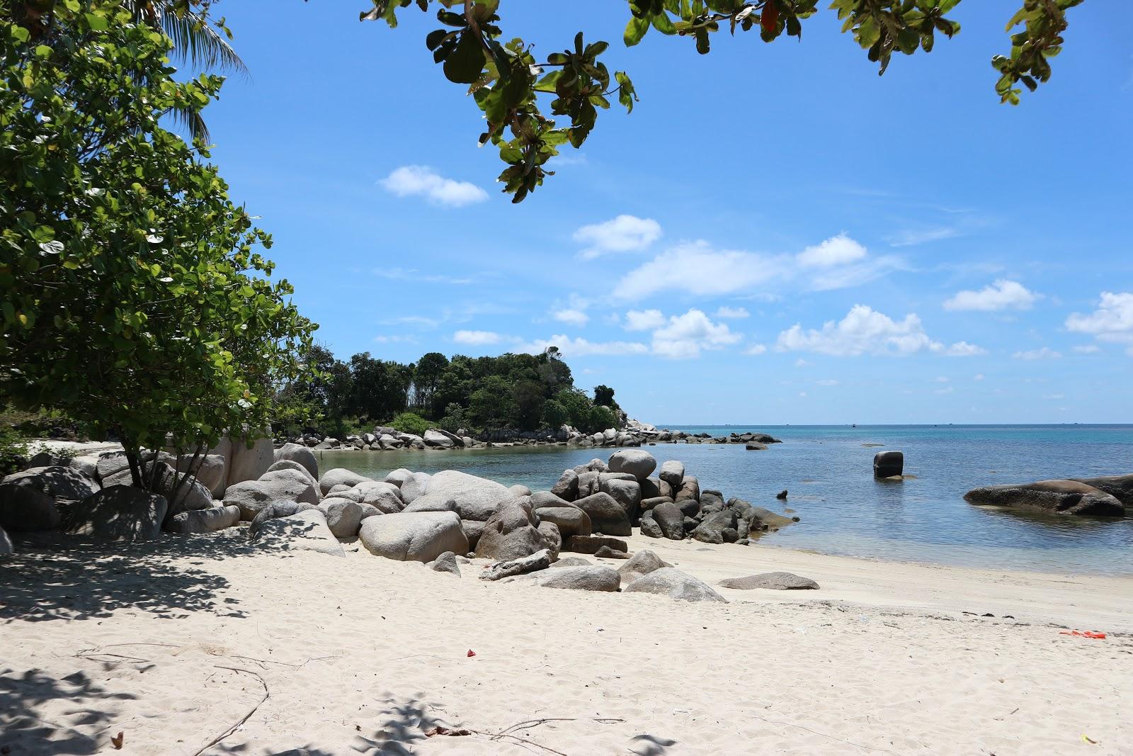Sandee Trikora Beach