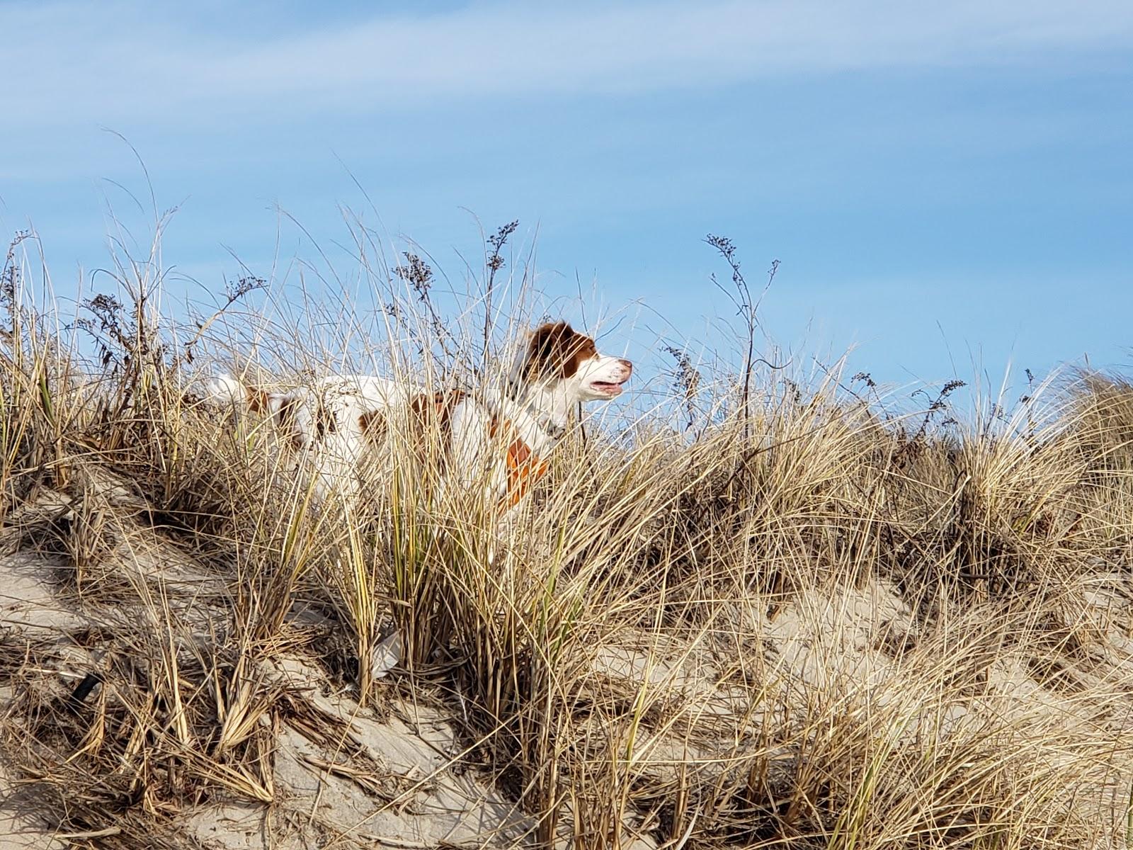 Sandee Peckham Beach
