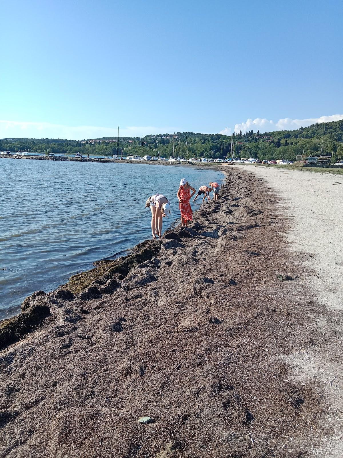 Sandee Pokopalisce Skoljk