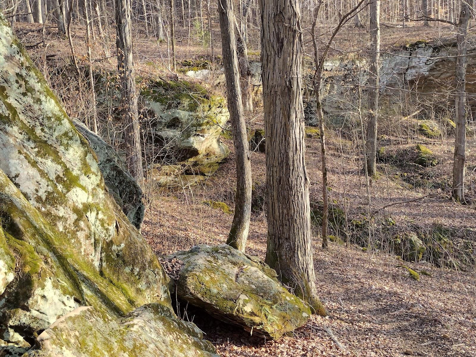Sandee German Ridge Recreation Area