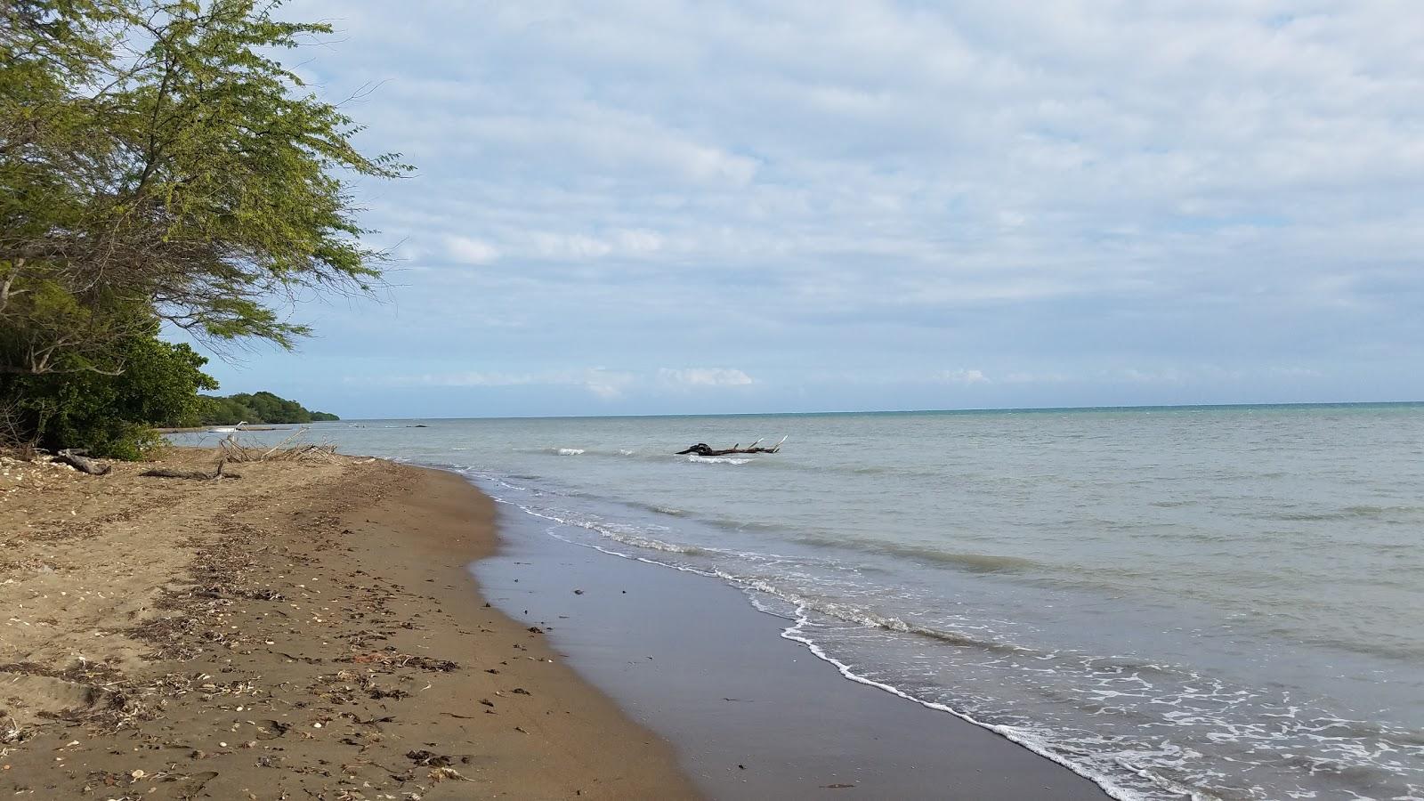 Sandee Playa Pitahaya