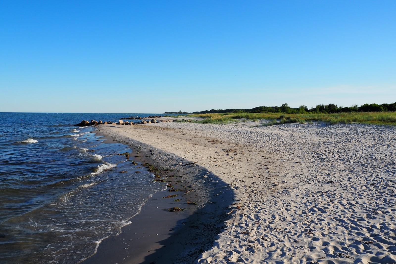 Sandee Drejet Strand