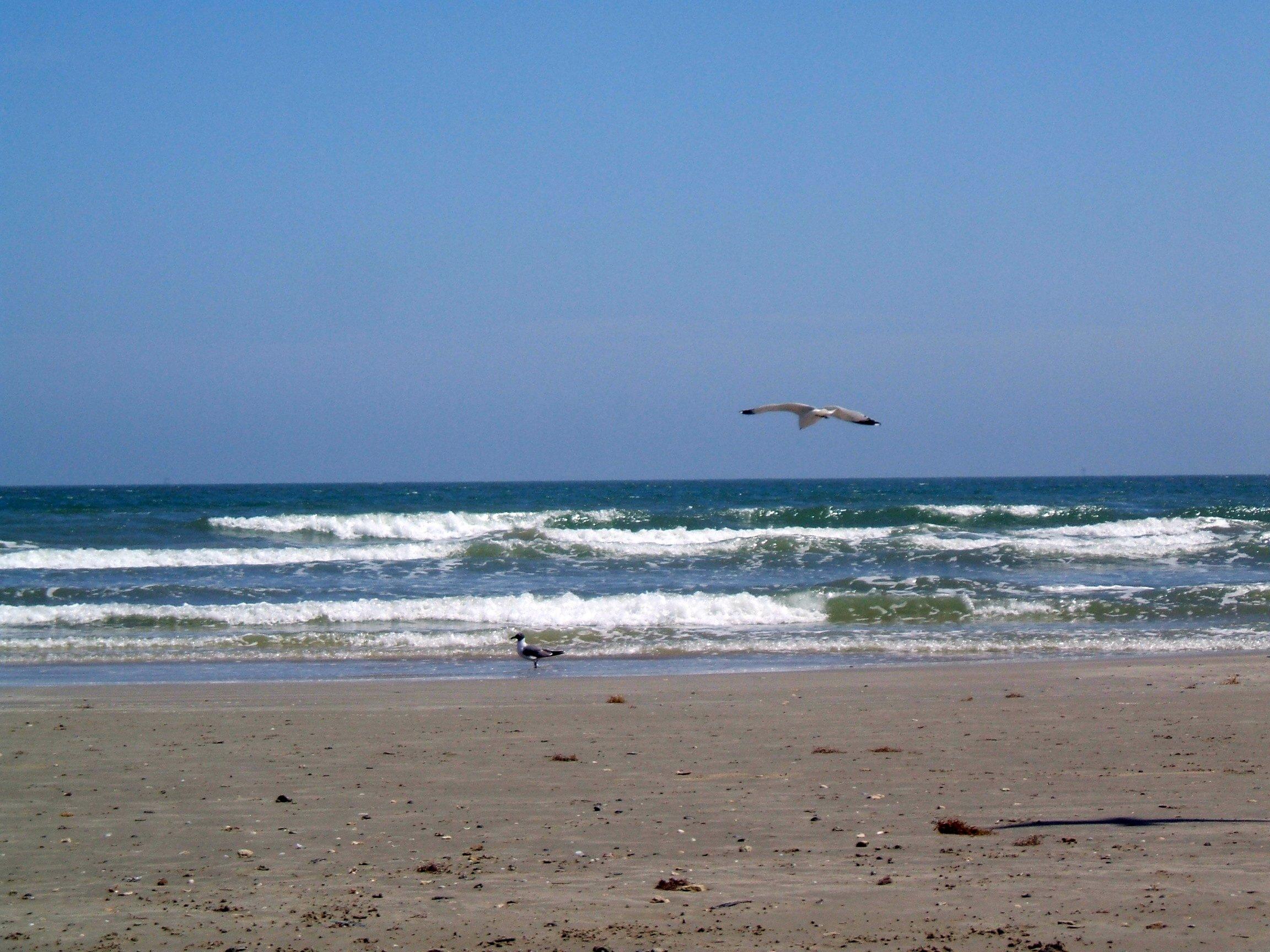 Sandee Port Aransas Beach
