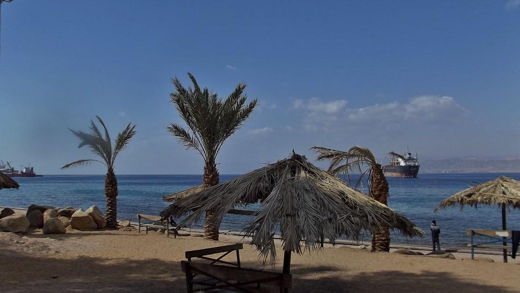 Sandee - HomePage / Saladin Governorate