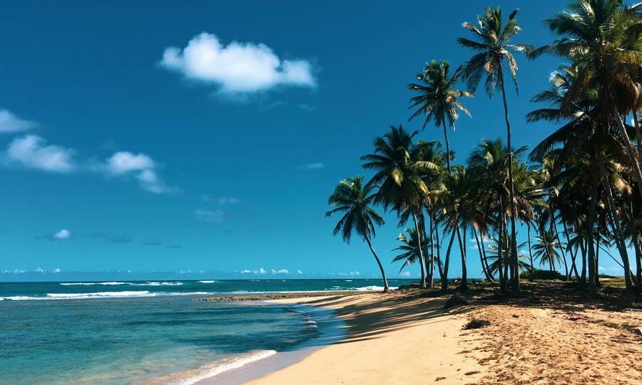 Sandee - Blog / Nudism Laws in Dominican Republic: A Comprehensive Overview